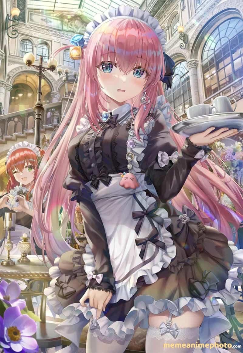 Album ảnh Bocchi Hitori fan art sáng tạo