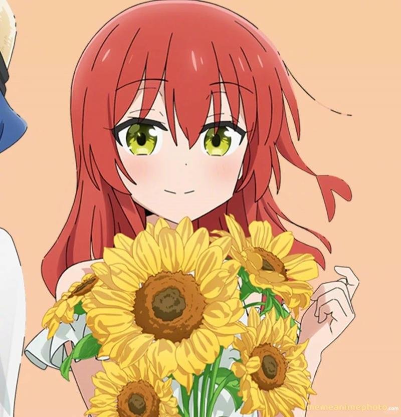 Hình avatar Ikuyo Kita tươi sáng nổi bật