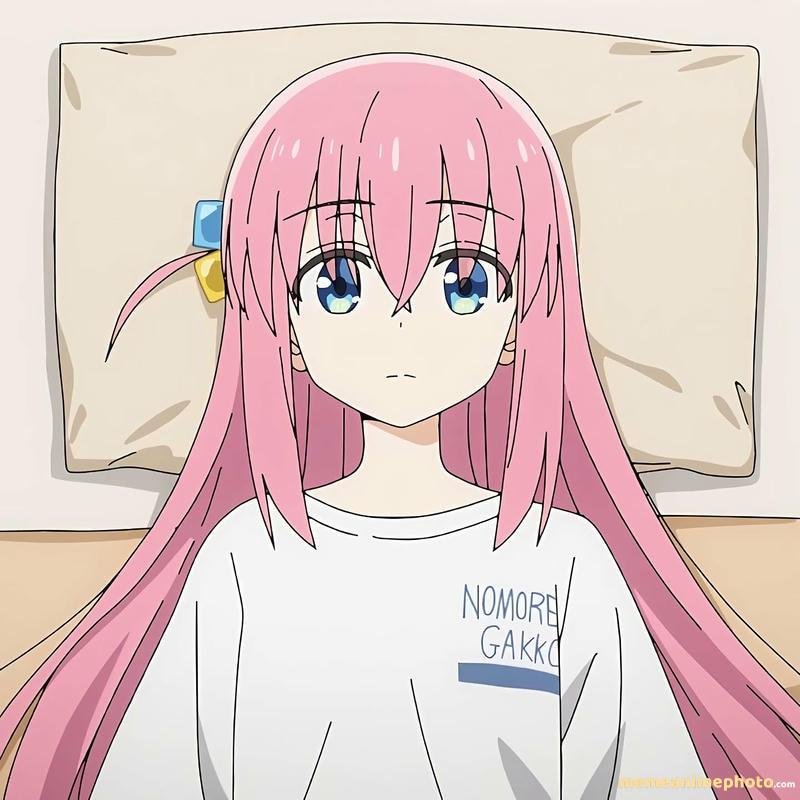 Tải ảnh Bocchi Hitori phong cách hoạt hình