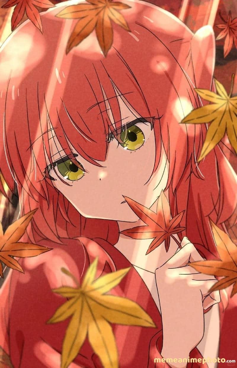 Tải ảnh Ikuyo Kita full HD chất lượng cao