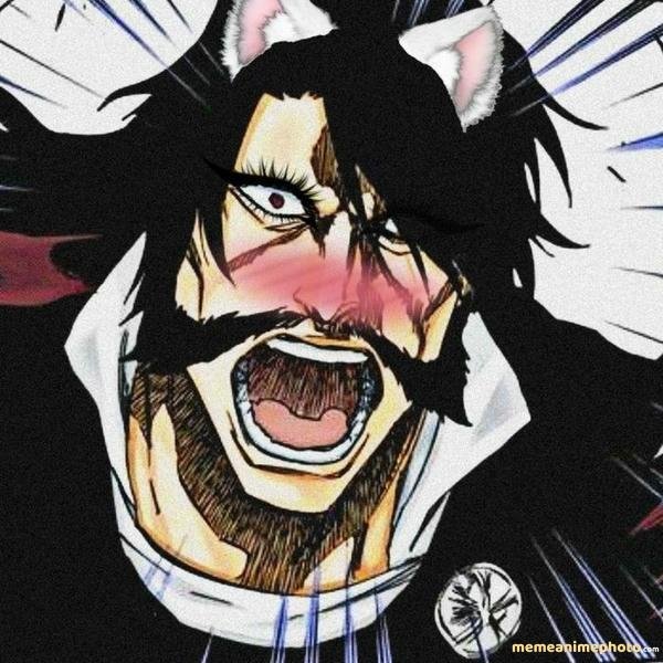 aizen meme gif