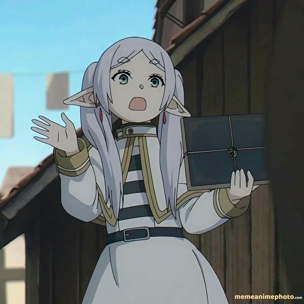 ảnh chế frieren meme viral mạng xã hội