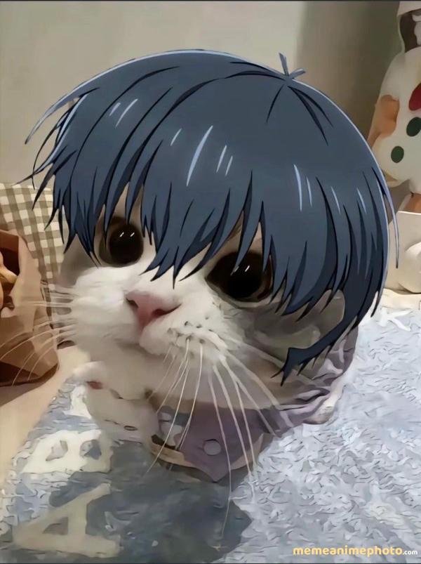 ảnh chế isagi meme meme chất lượng