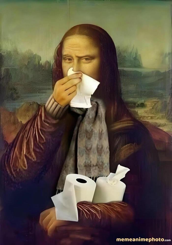 ảnh chế mona lisa meme meme chất lượng