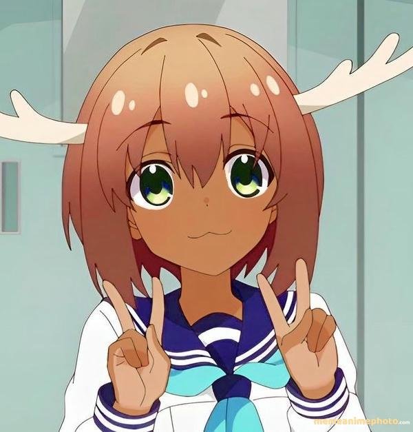 ảnh chế nokotan meme meme chất lượng