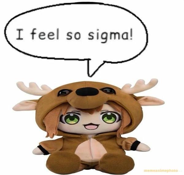 ảnh chế nokotan meme trending