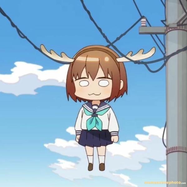 ảnh chế nokotan meme viral mạng xã hội