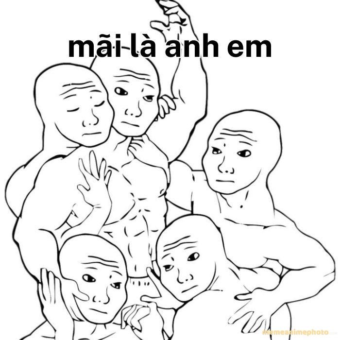 ảnh mãi là anh em meme chế