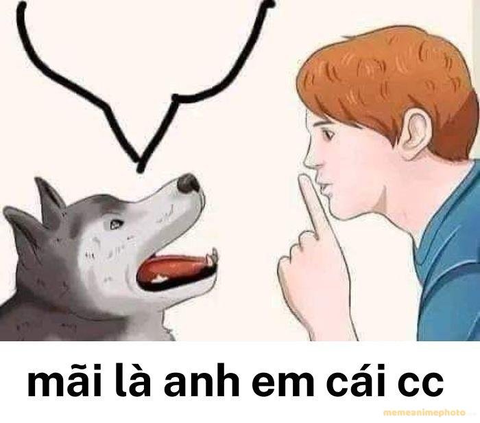 ảnh mãi là anh em meme hài
