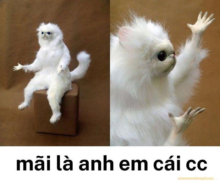 ảnh mãi là anh em meme