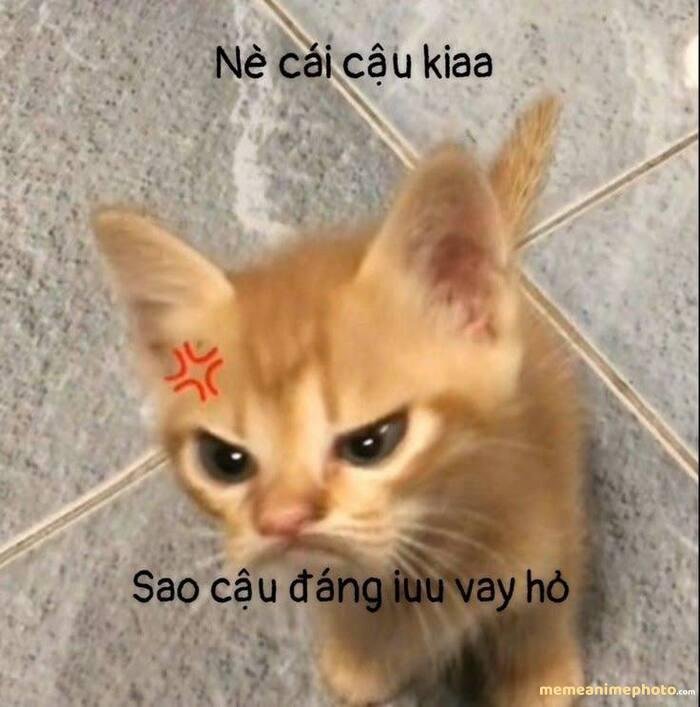 ảnh meme tình yêu cute