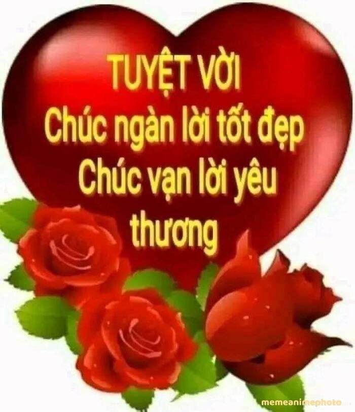 ảnh meme tình yêu đẹp