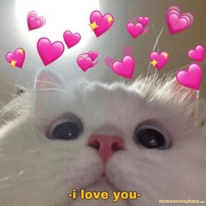 ảnh meme tình yêu hài