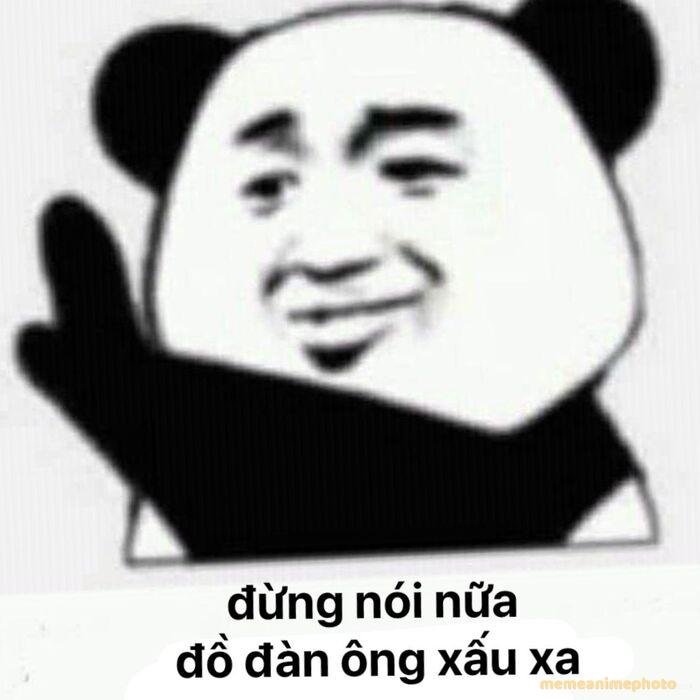 ảnh meme tổn thương chế gấu trúc
