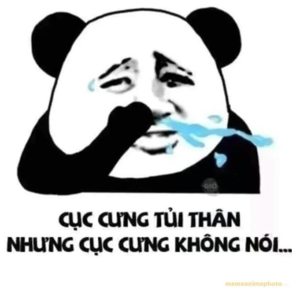 ảnh meme trung quốc troll hài hước