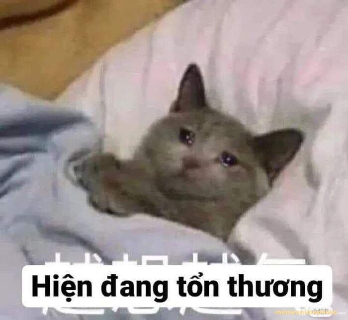 ảnh meme tủi thân cực hài