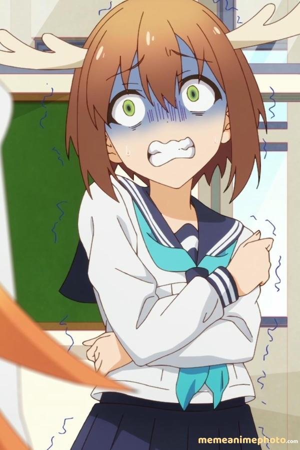 ảnh nokotan meme chế bá đạo