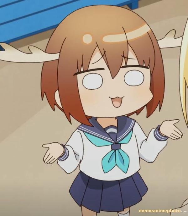 ảnh nokotan meme meme vui nhộn