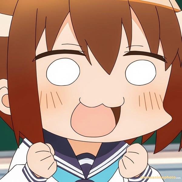 ảnh nokotan meme troll hài hước