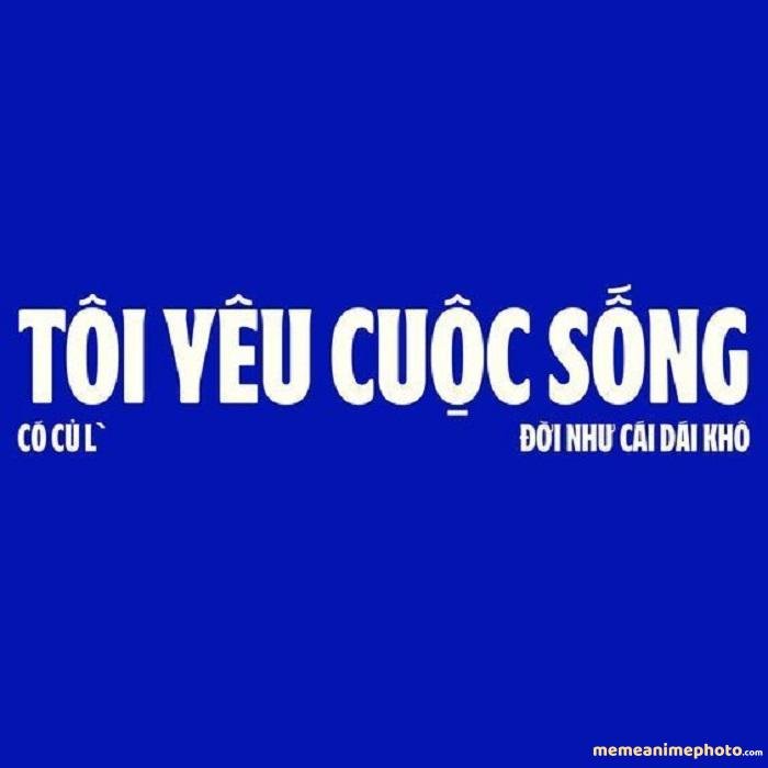 ảnh tuyệt vọng meme hài hước
