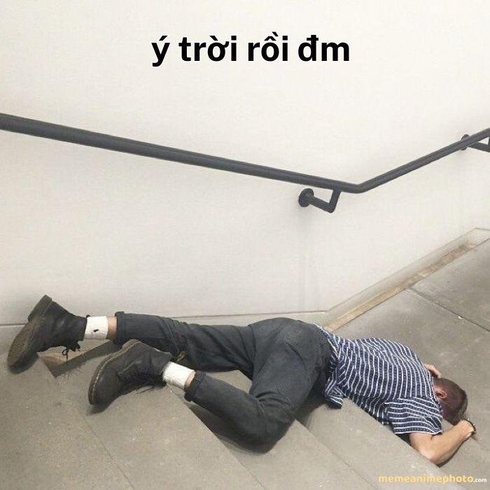 ảnh ý trời meme cực hài