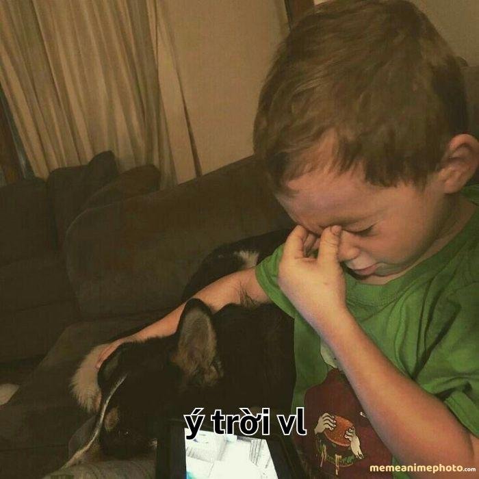 ảnh ý trời meme hài hước nhất
