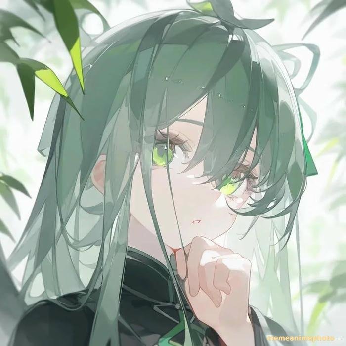 anime hiếm nổi bật