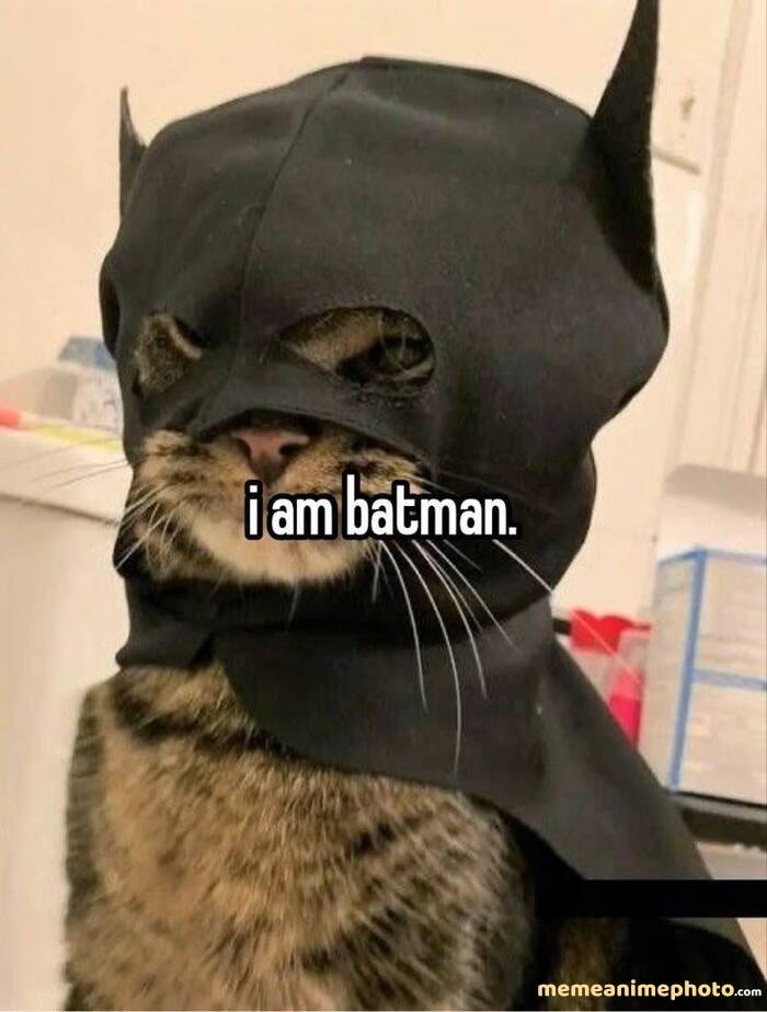 batman meme bựa nhất