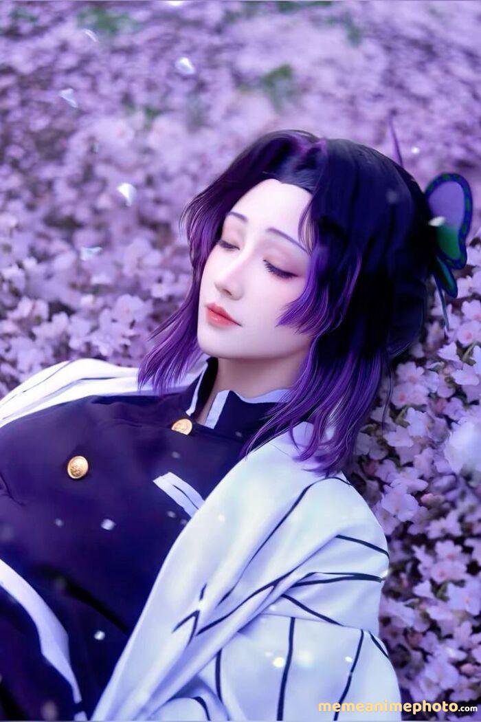 cosplay shinobu đẹp 3d full