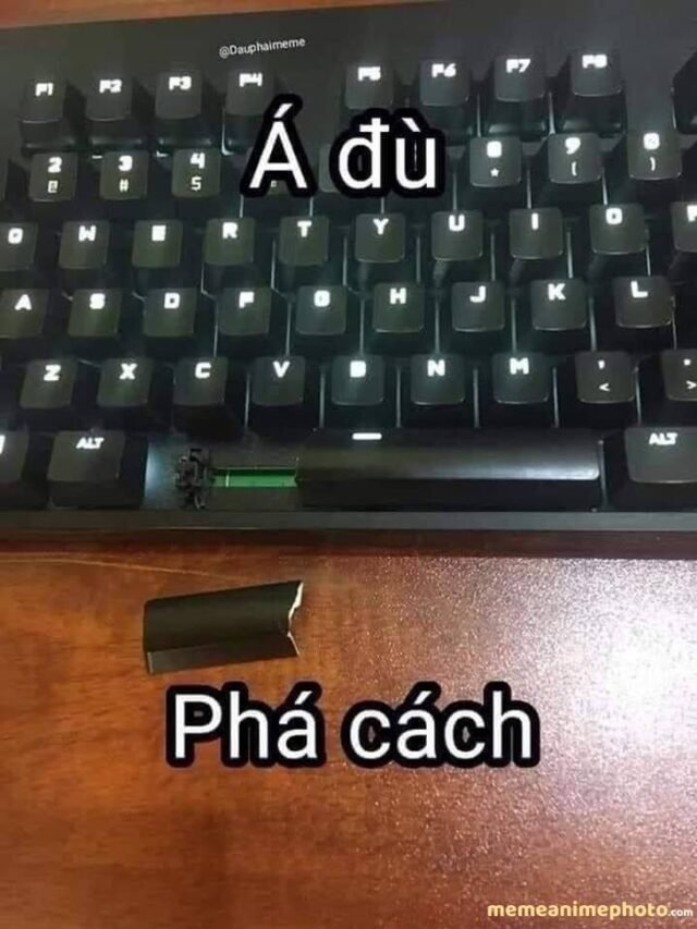 Tổng hợp 384+ ảnh dark meme việt nam cười nghiêng ngả