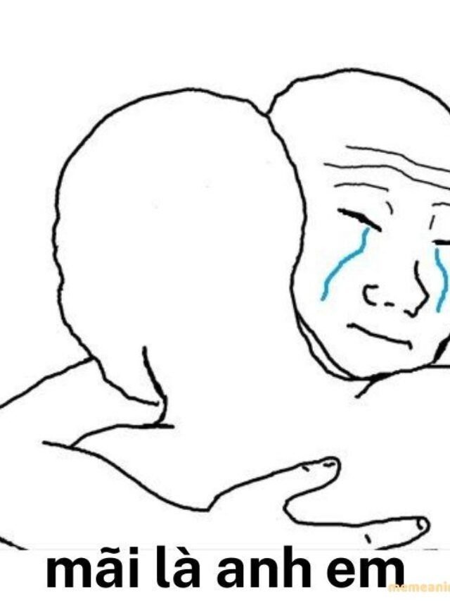 Tuyển tập 381+ ảnh mãi là anh em meme cười nhăn nhở cực hài