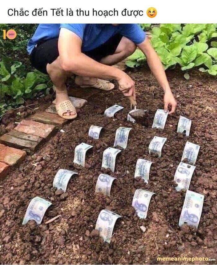 dark meme việt nam chế