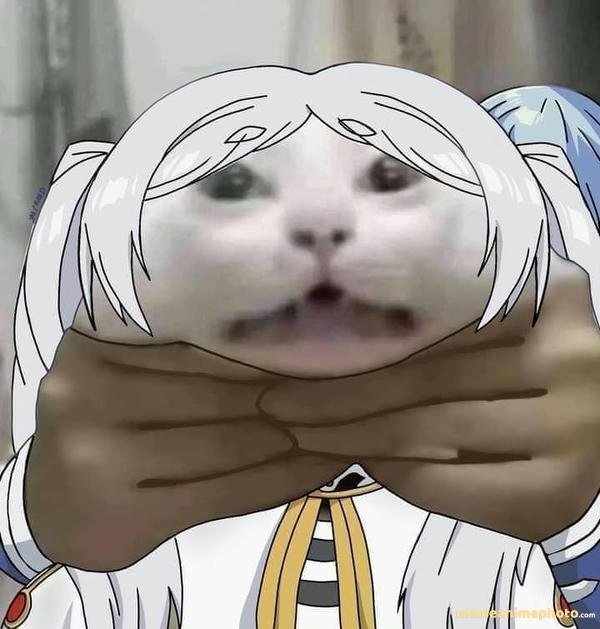 frieren meme biểu cảm siêu hài