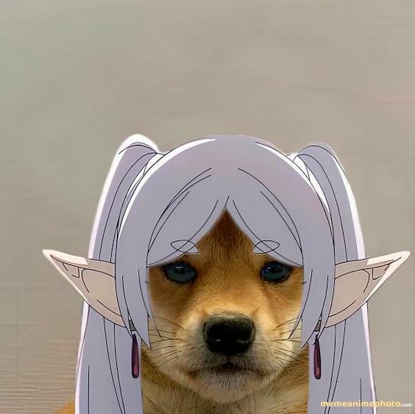 frieren meme chế bá đạo cực đỉnh