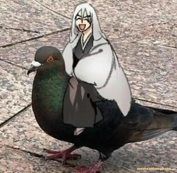 frieren meme chế bựa vui nhộn