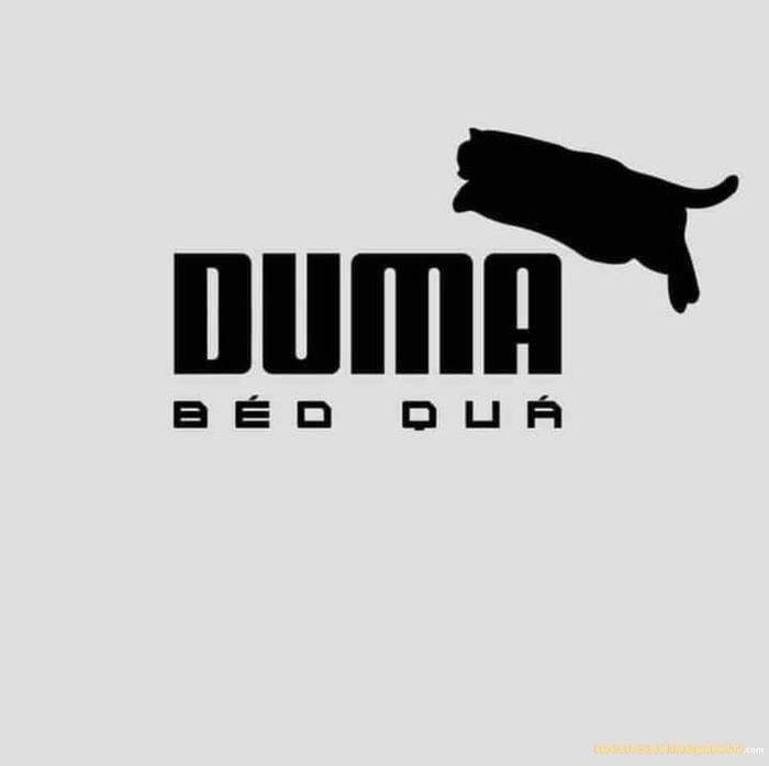 hình ảnh dark meme việt nam cực hài