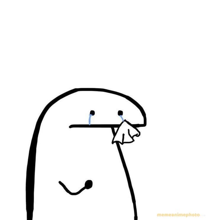 hình ảnh flork meme hài