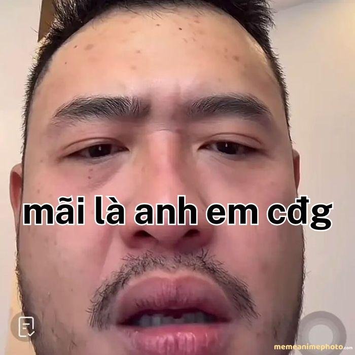 hình ảnh mãi là anh em meme chị phiến