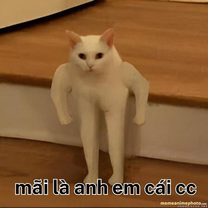 hình ảnh mãi là anh em meme hài hước