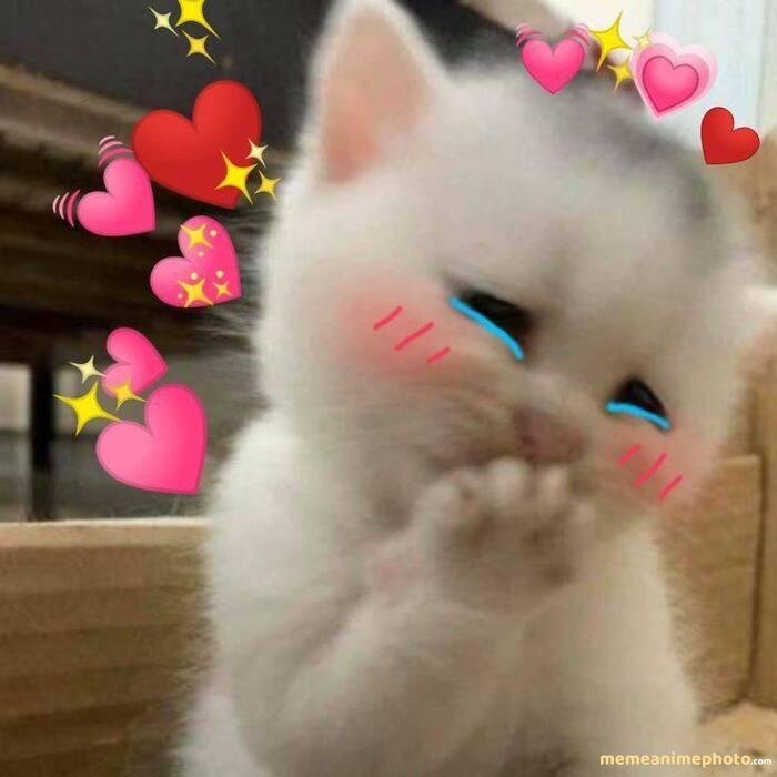 hình ảnh meme tình yêu đẹp