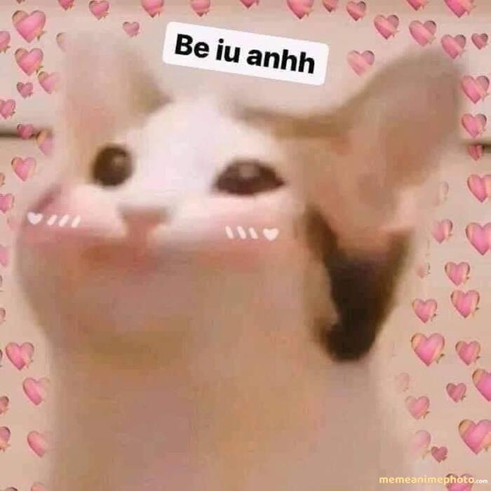 hình ảnh meme tình yêu xinh nhất