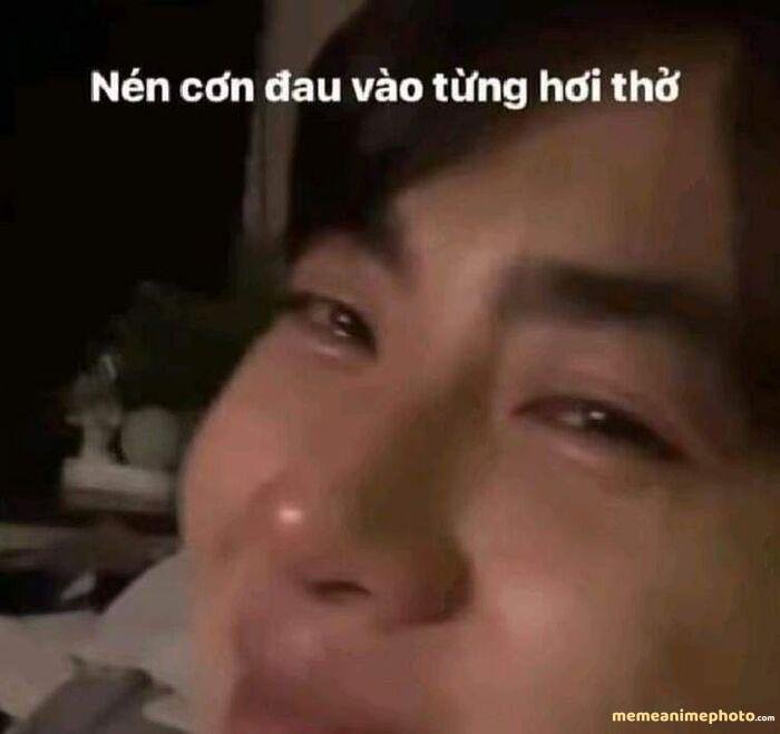 hình ảnh meme tổn thương