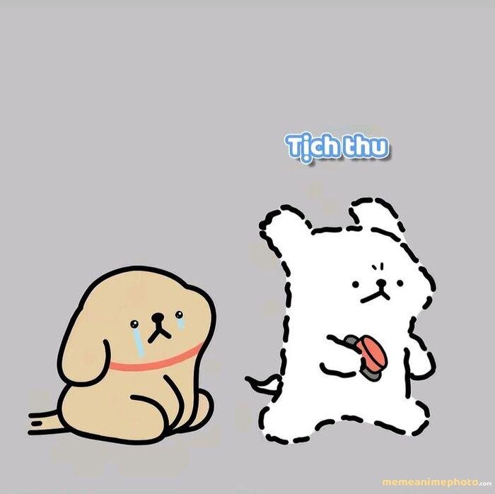 hình ảnh meme tủi thân