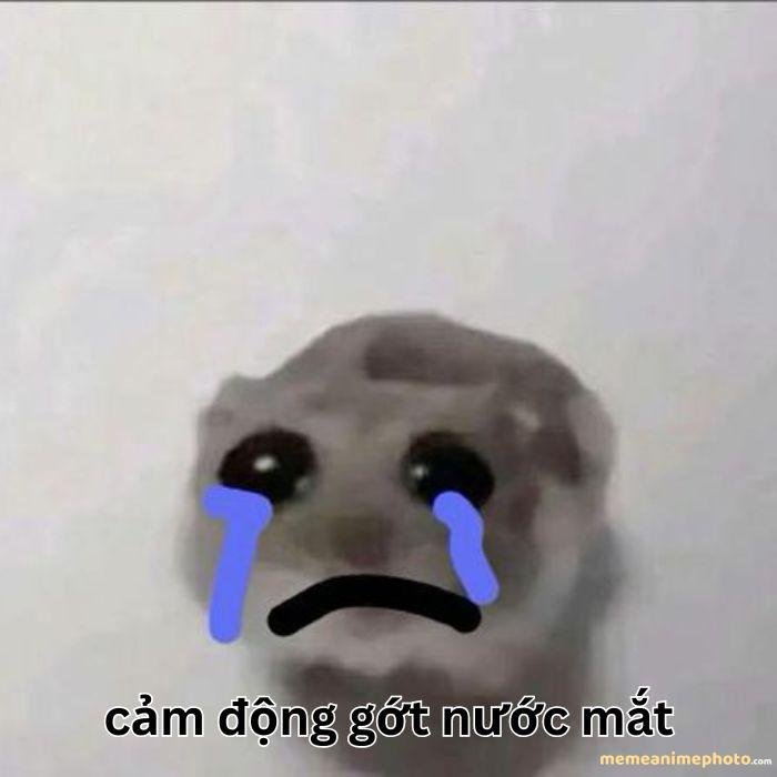 hình ảnh xúc động meme buồn