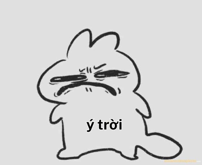 hình ảnh ý trời meme nhây hài
