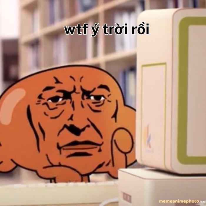 hình ảnh ý trời meme