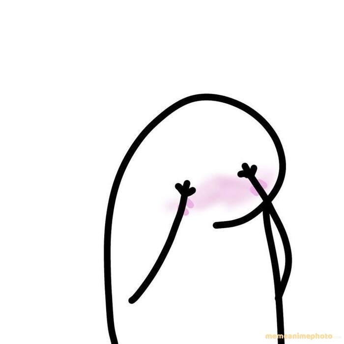 hình flork meme ngại