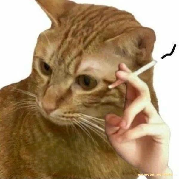 meme meme trung quốc pha troll huyền thoại