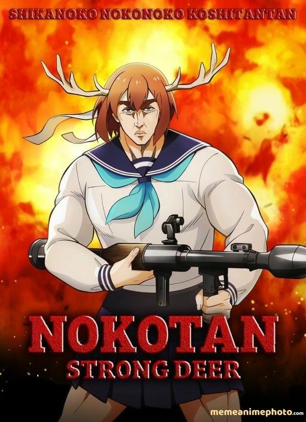 meme nokotan meme cười đau ruột