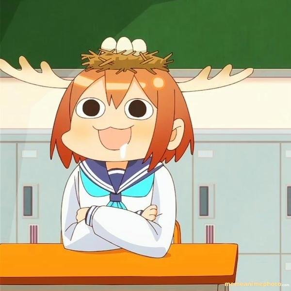 meme nokotan meme cười sảng khoái